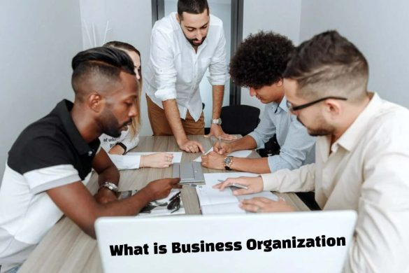 Business Organizatio
