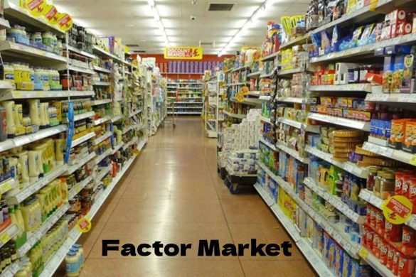 Factor Market