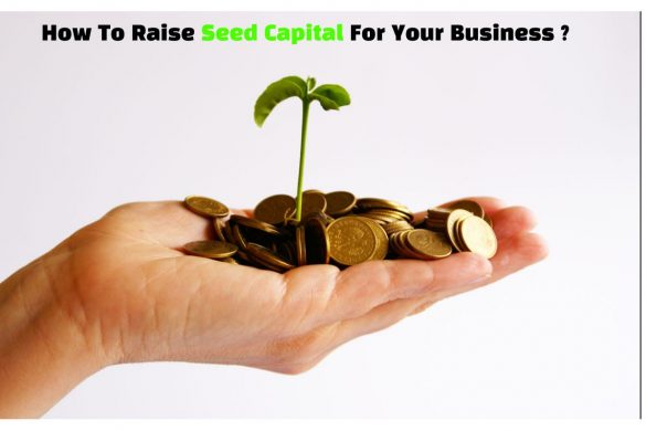 How To Raise Seed Capital For Your Business