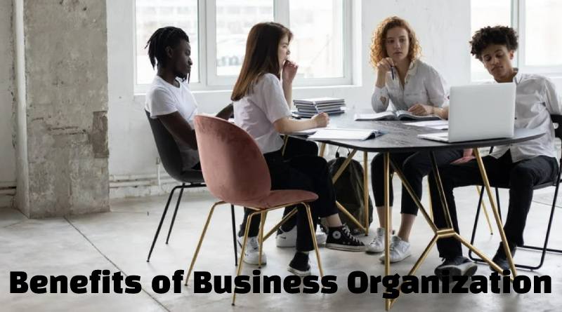 The Main Benefits of Business Organization Are