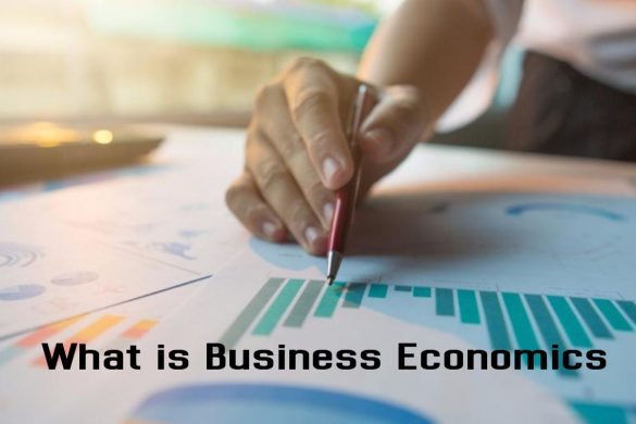 What is Business Economics