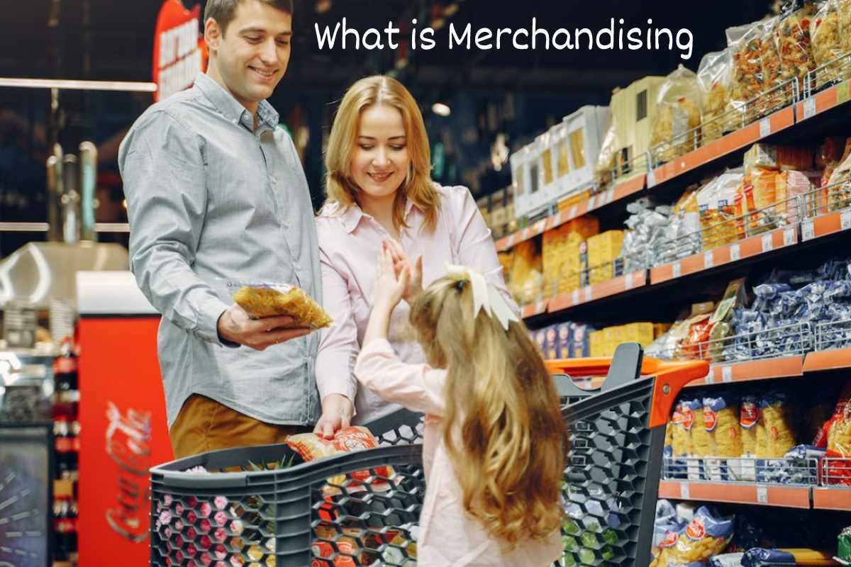What is Merchandising Benefits, strategies, And More