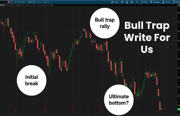 Bull Trap Write For Us