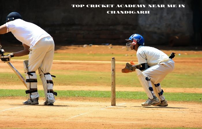 Top Cricket Academy Near Me In Chandigarh