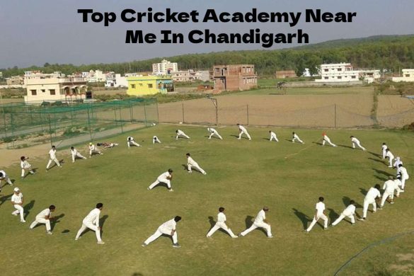 Top Cricket Academy Near Me In Chandigarh