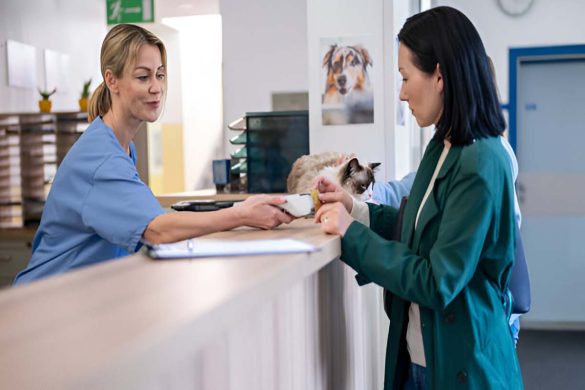 Unlocking Success in Veterinary Care